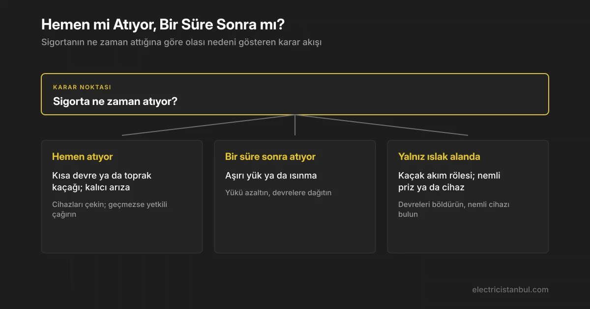 Atma zamanına göre teşhis dalları